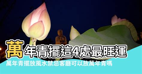 萬年青風水禁忌|萬年青擺這4處最旺運 犯1禁忌恐使家人破財